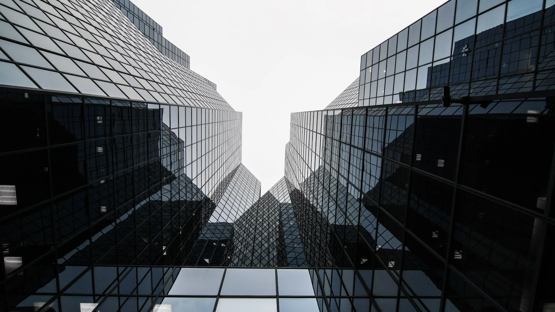 Latar belakang website dengan ilustrasi tim bekerja